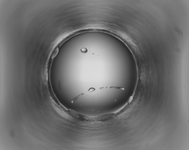X0000110931372200906181420
