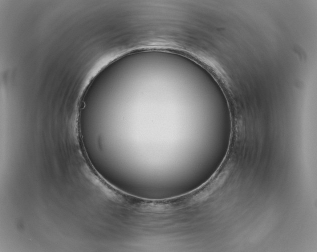 X0000110931374200906181420