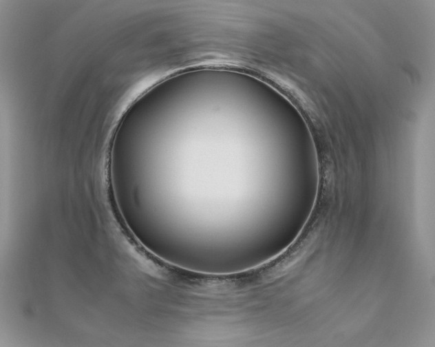 X0000110931375200906181420