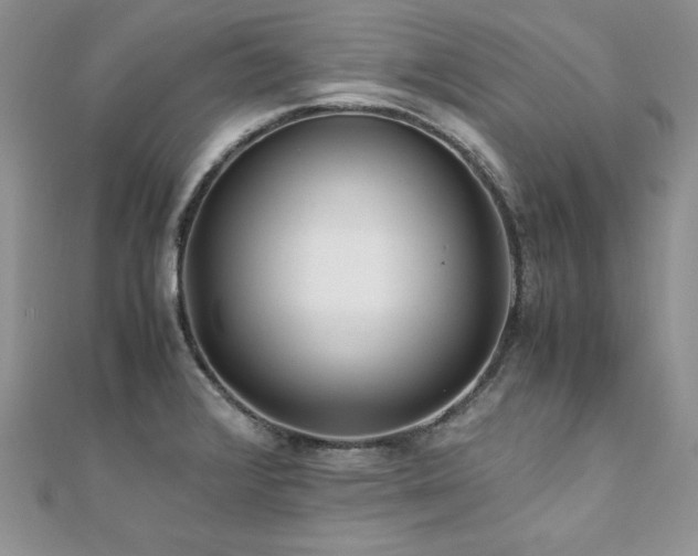 X0000110931376200906181420