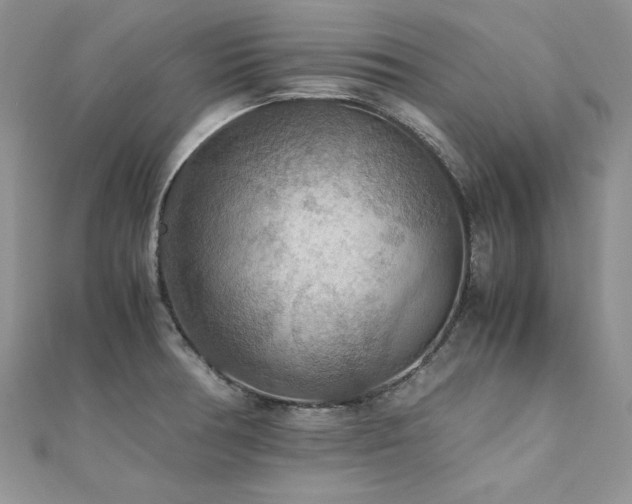 X0000110931378200906181420