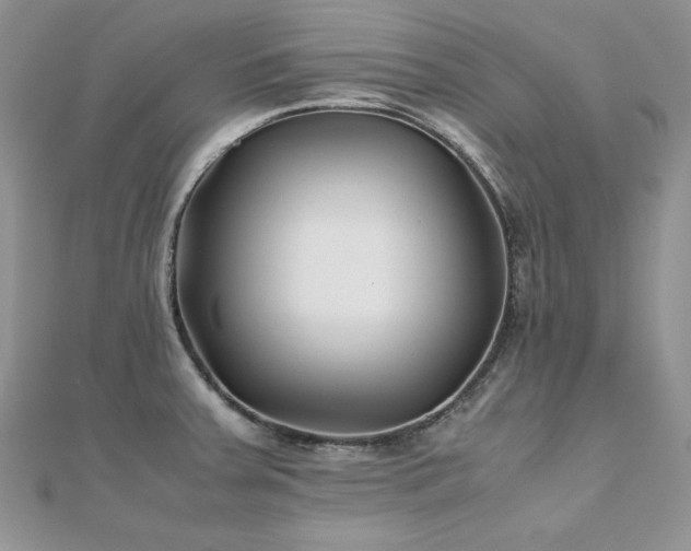 X0000110931379200906181420