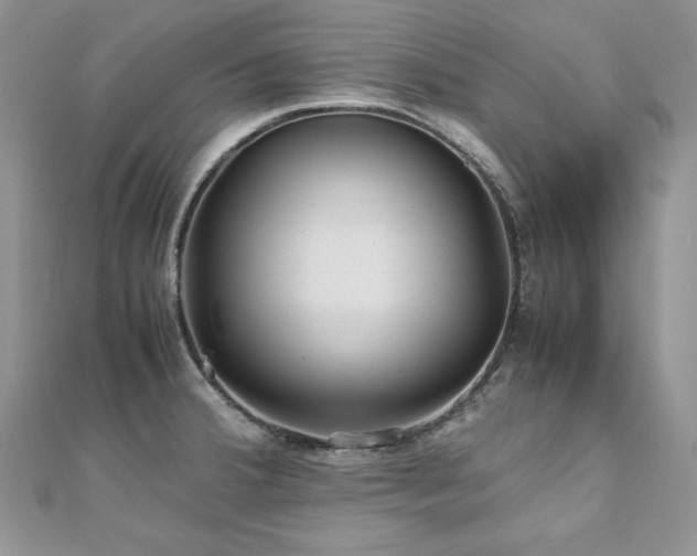 X0000110931380200906181420