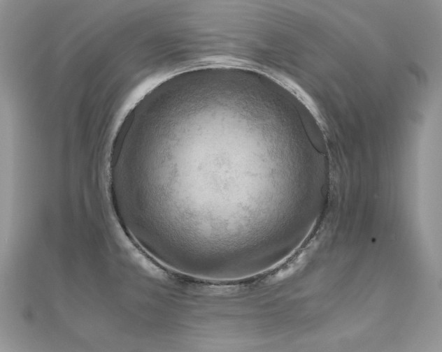X0000110931381200906181420