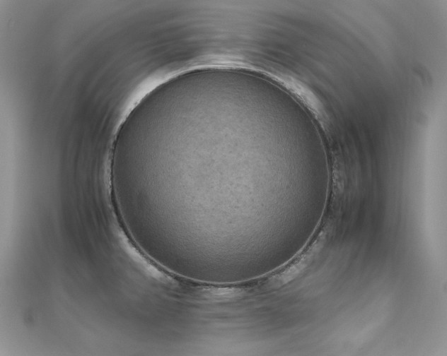 X0000110931382200906181420