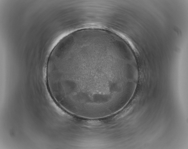 X0000110931383200906181420