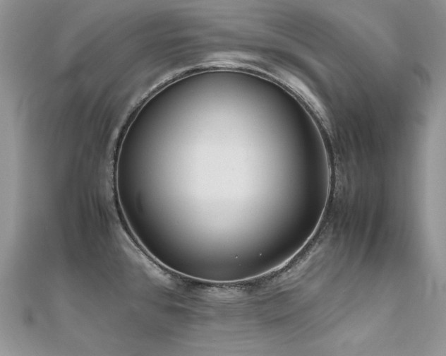 X0000110931384200906181420