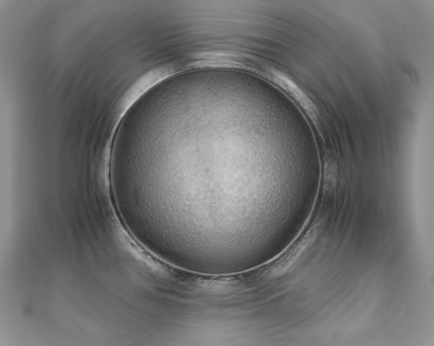 X0000110931386200906181420