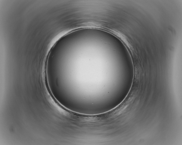 X0000110931387200906181420