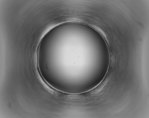 X0000110931391200906181420