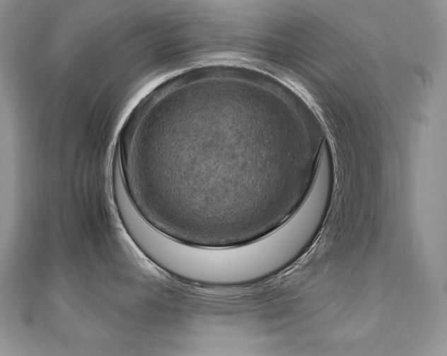 X0000110931392200906181420