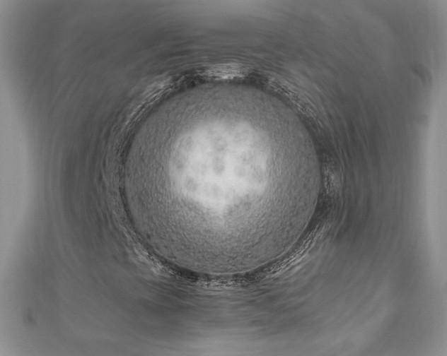 X0000110931393200906181419