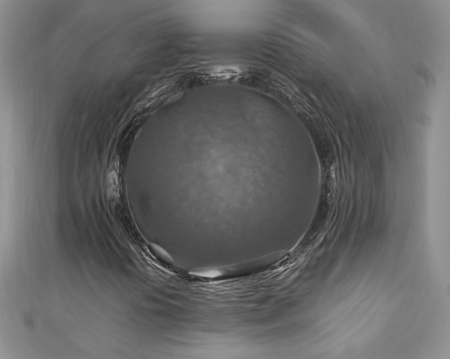 X0000110931394200906181419