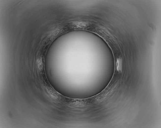X0000110931395200906181419