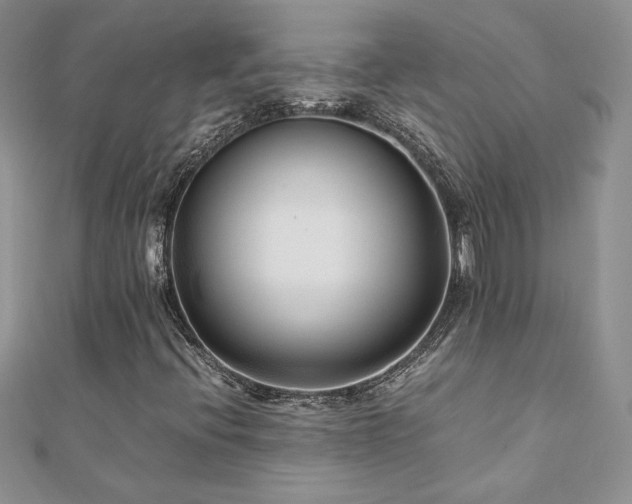 X0000110931396200906181419