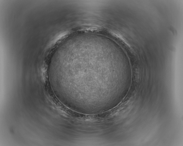 X0000110931399200906181419