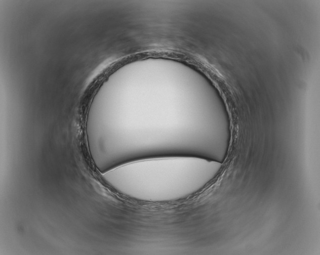 X0000110931400200906181420