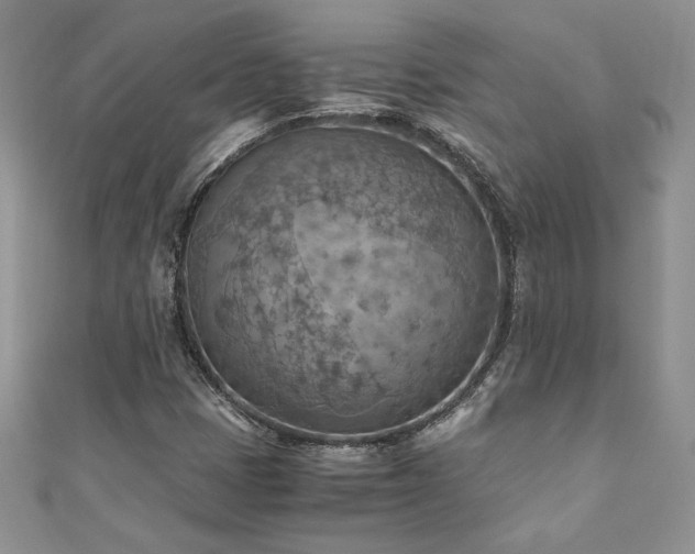 X0000110931401200906181420