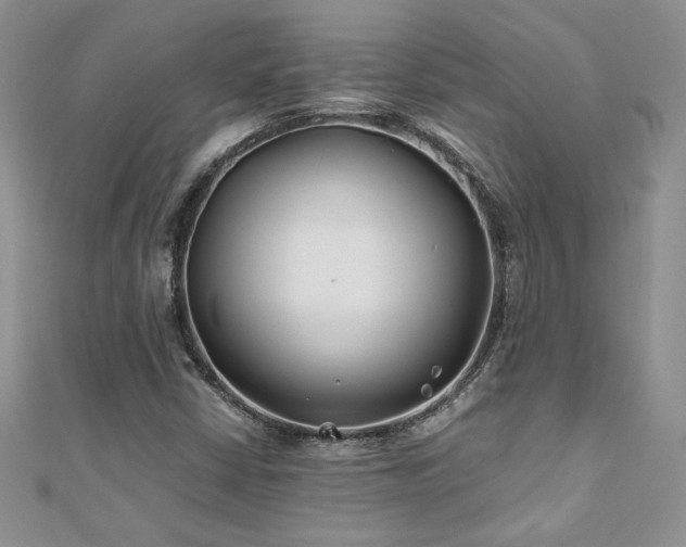 X0000110931402200906181420
