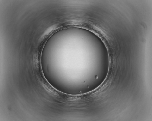X0000110931403200906181420