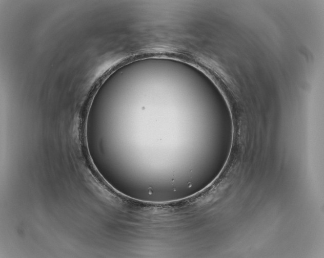 X0000110931404200906181420