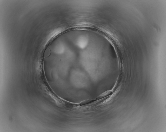 X0000110931405200906181420