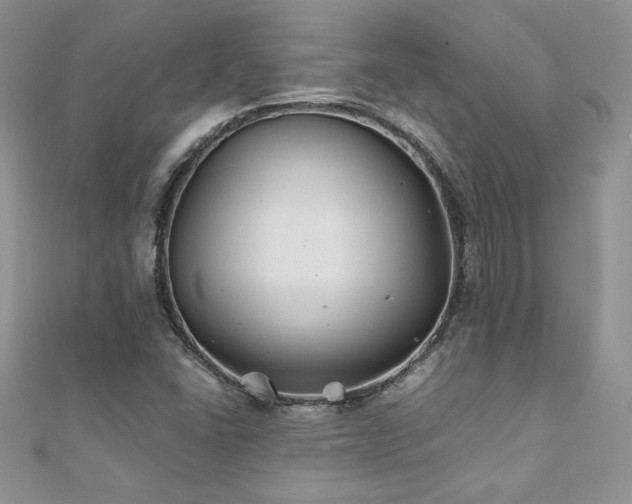X0000110931406200906181420