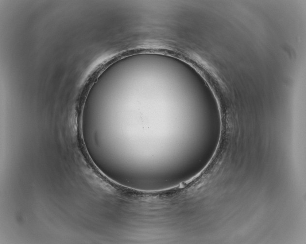 X0000110931408200906181420