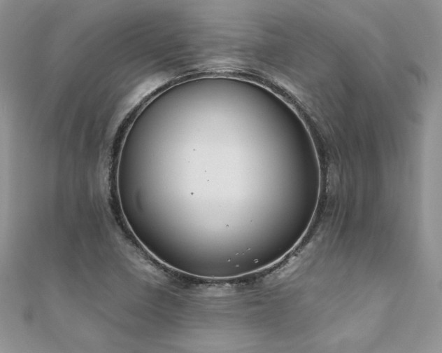 X0000110931410200906181420