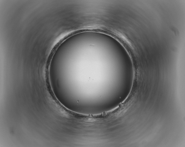 X0000110931412200906181420