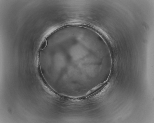 X0000110931413200906181420