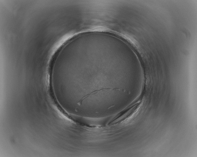 X0000110931414200906181420