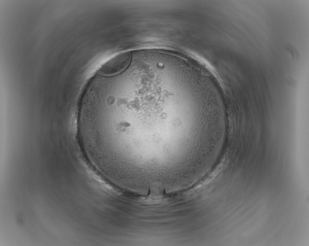 X0000110931415200906181420