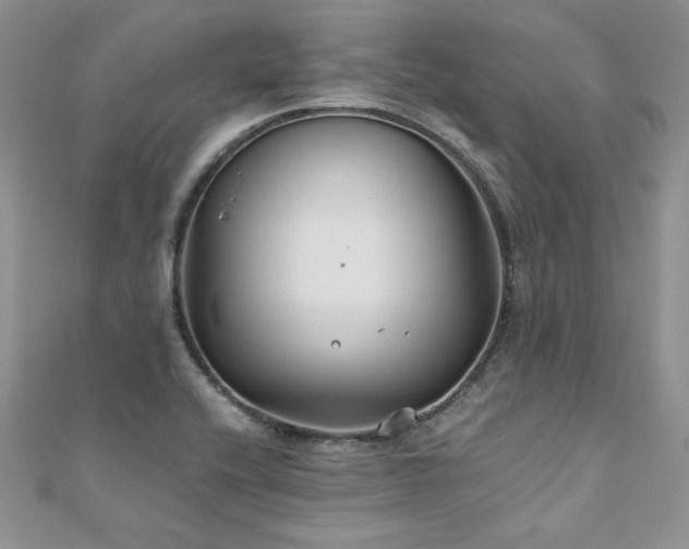 X0000110931416200906181420