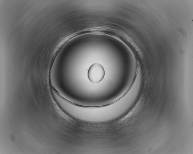 X0000110931417200906181420