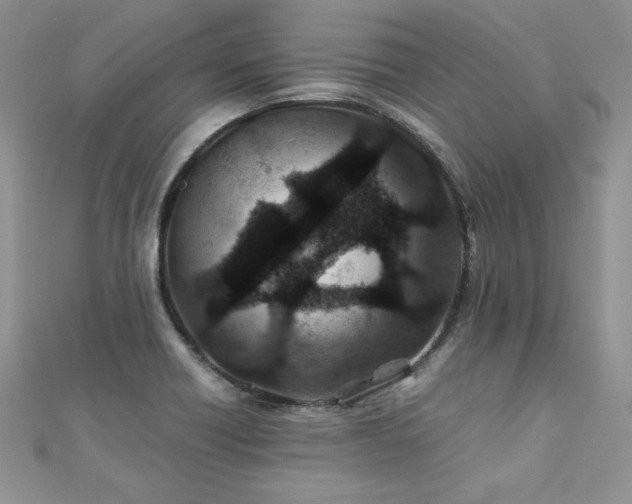 X0000110931418200906181420