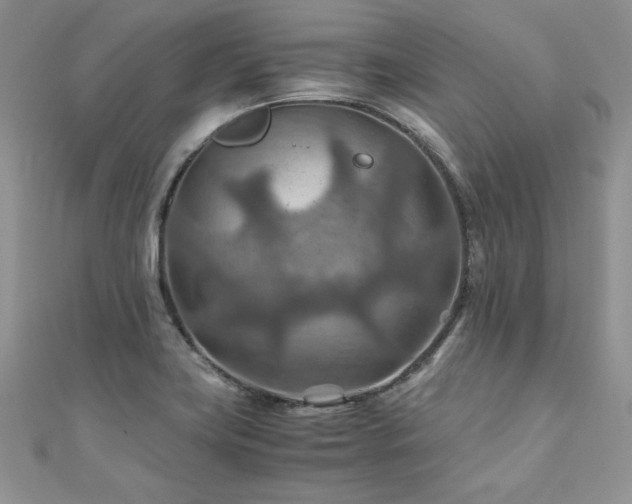X0000110931419200906181420