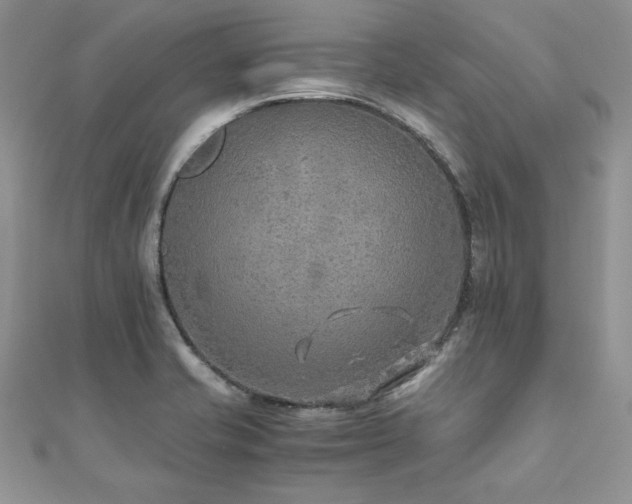 X0000110931421200906181420