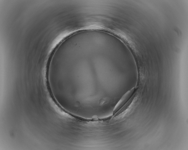 X0000110931422200906181420