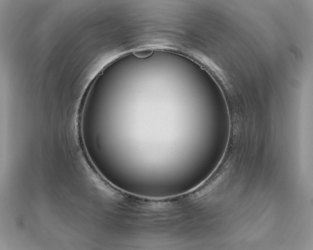 X0000110931423200906181420