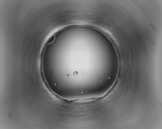 X0000110931424200906181420