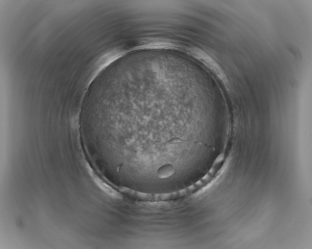 X0000110931425200906181420