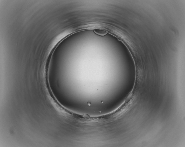 X0000110931426200906181420