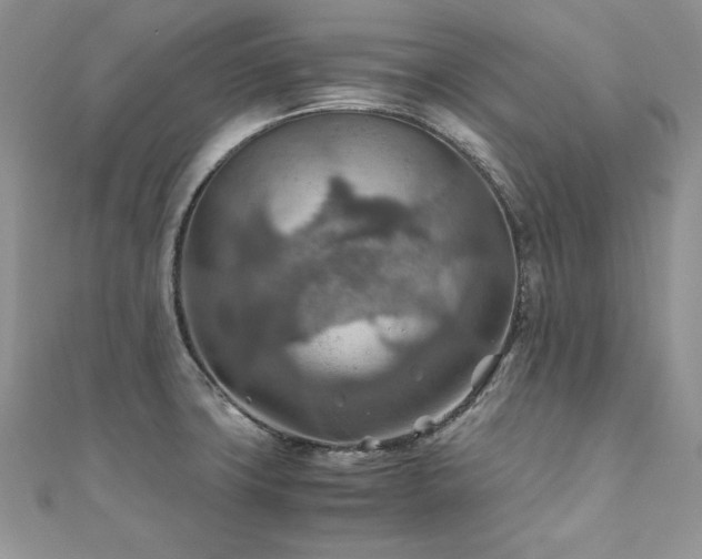 X0000110931427200906181420