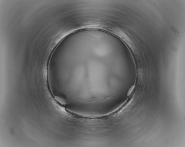 X0000110931428200906181420