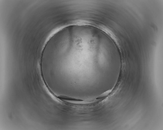 X0000110931429200906181420