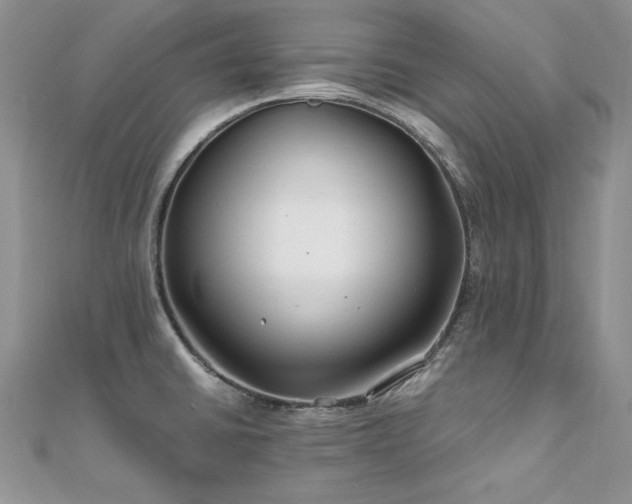 X0000110931430200906181420