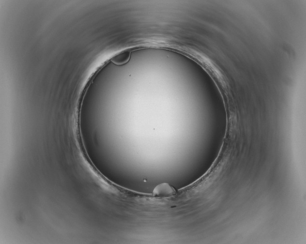 X0000110931432200906181420