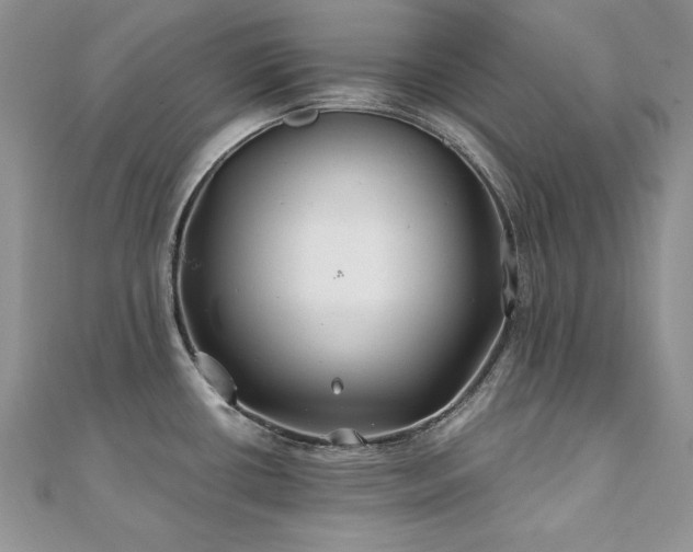 X0000110931434200906181420