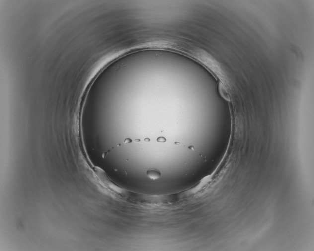 X0000110931436200906181420